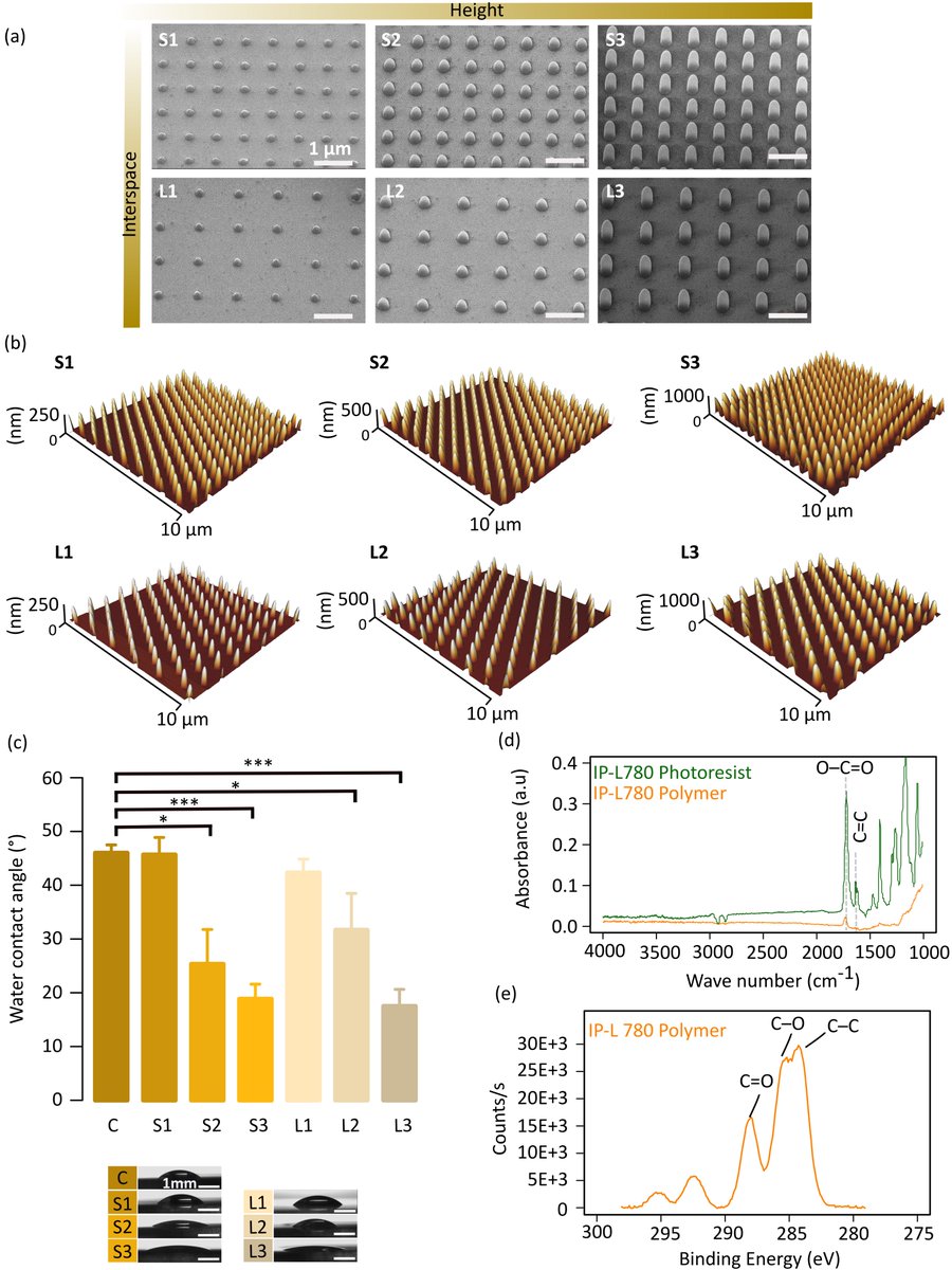 NouriMahdiyeh's tweet photo. #Submicron #pillars were 3D printed and their #morphology, surface #roughness, #wettability, and surface #chemistry were analyzed. @NanoscribeGmbH @pboukany @tudelft3mE @ChemeTUDelft https://t.co/tFJLCoWPiO