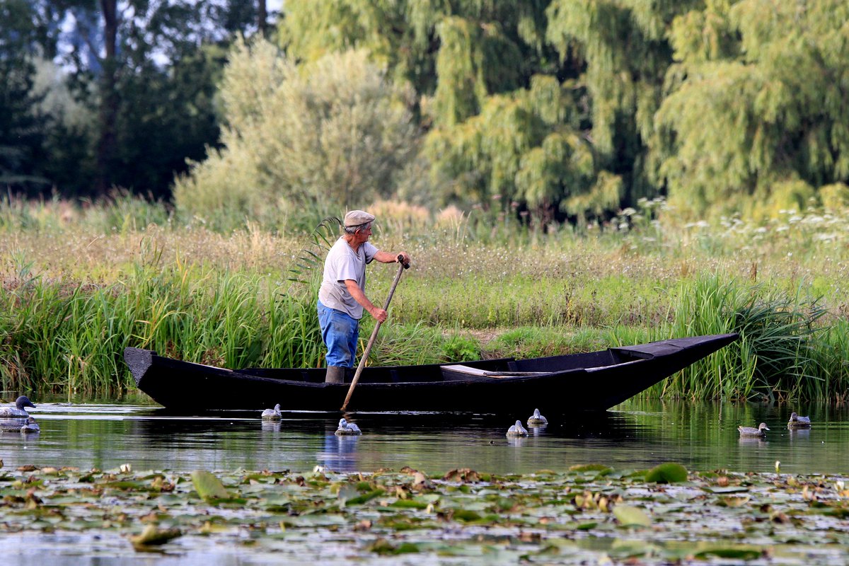 cdt62's tweet photo. Les Visages du marais : un programme inédit pour profiter pleinement du #MaraisAudomarois cet été 🌿

ℹ https://t.co/BsY5YVJeQg https://t.co/EzxAVeee2B
