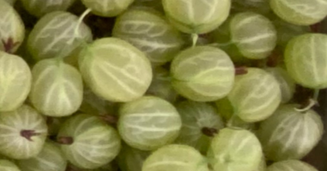 Have you guessed correct!

#proudlynorfolk #feastnorfolk #sharringtonstrawberries #jammaking #buylocal