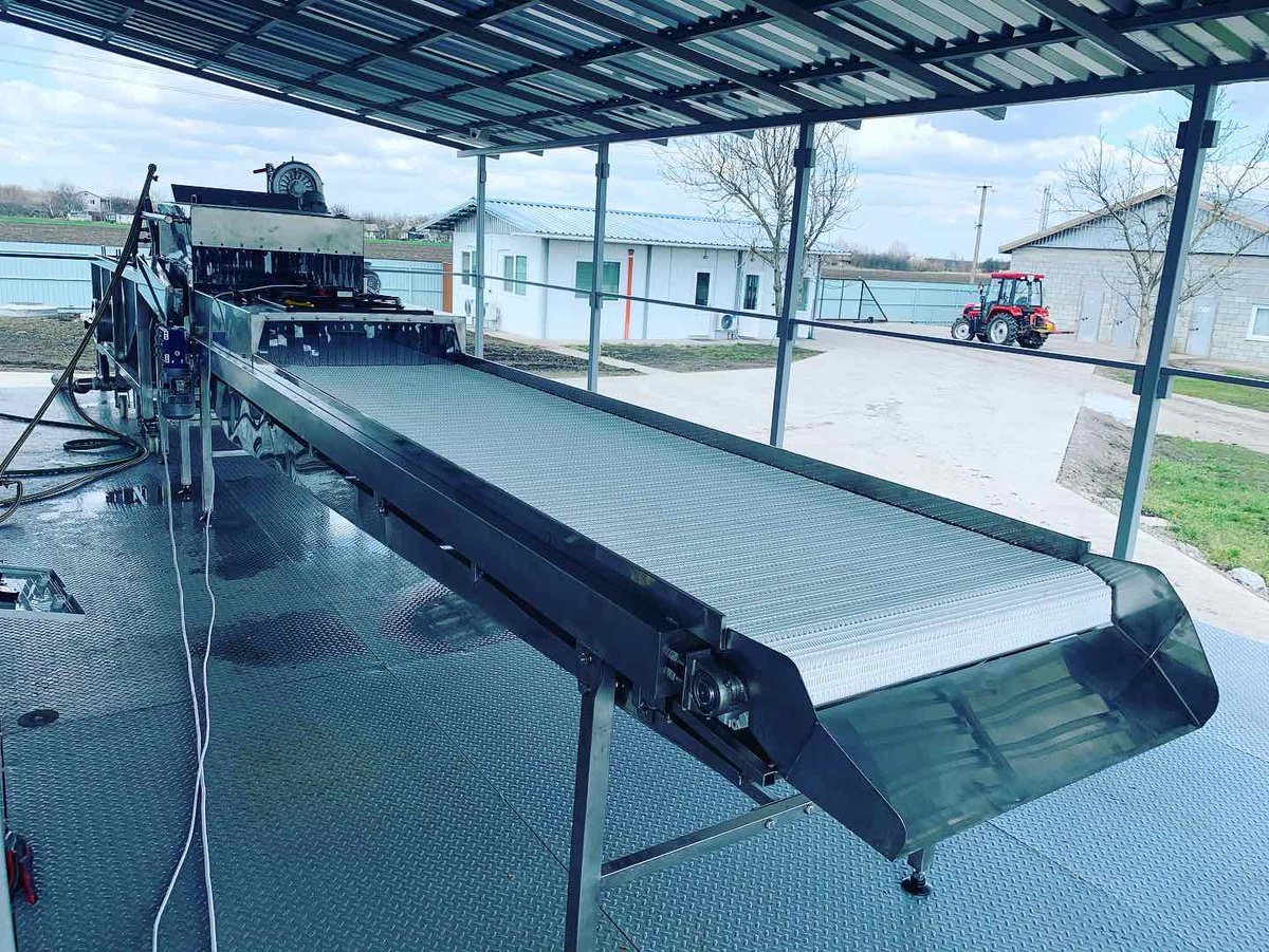 Insortex2019 tweet picture