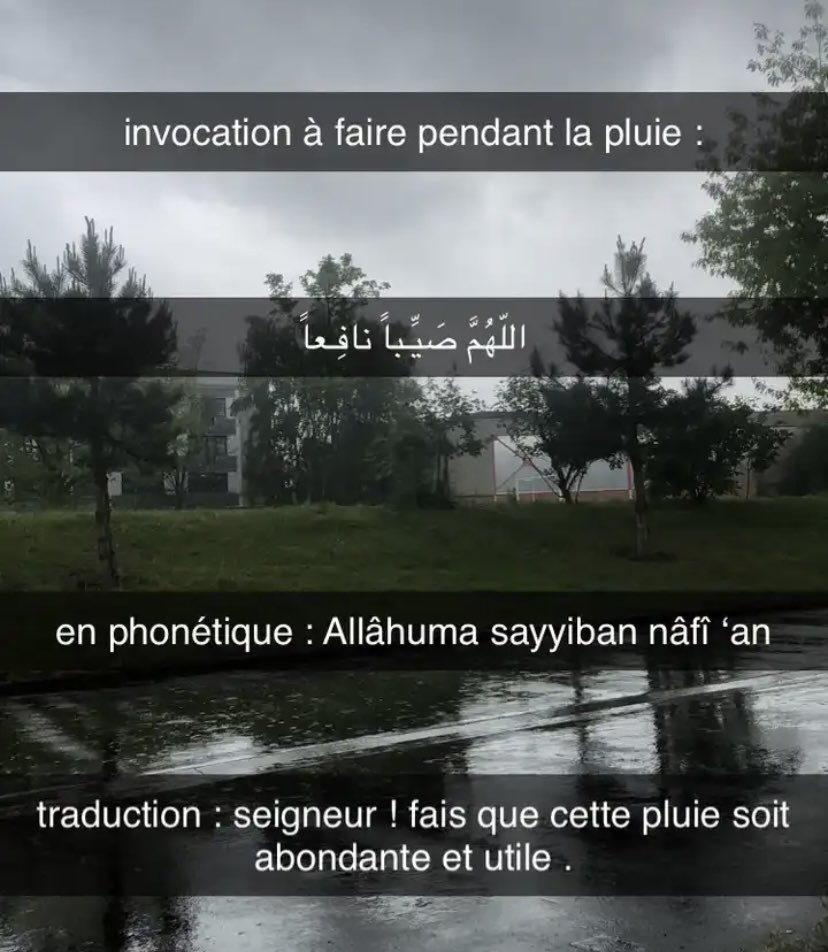 linaah_qlf's tweet photo. Petit cadeau https://t.co/Pvdus2RL8a