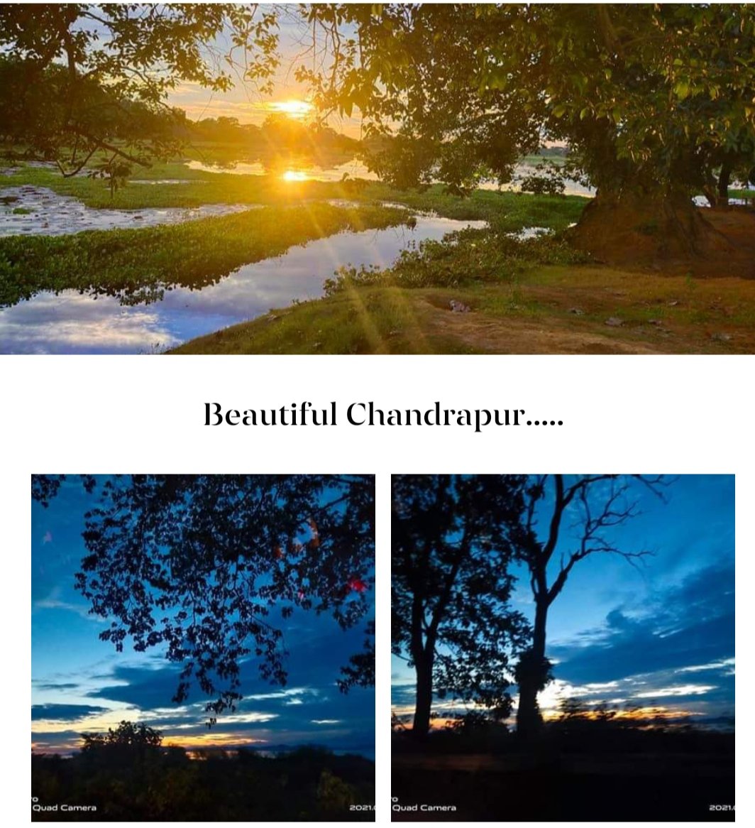 KalitaManjusha's tweet photo. We want chandrapur to remain just the way it is.
#saynotodumpingground
#savechsndrspur
#saveamchang
#savekolongriver
@CMOfficeAssam @TheAshokSinghal @Pijush_hazarika @himantabiswa @gmc_guwahati https://t.co/sLvSfJ0acA