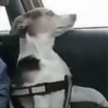 vantefilt's tweet image. pensando em começar angel's last mission love