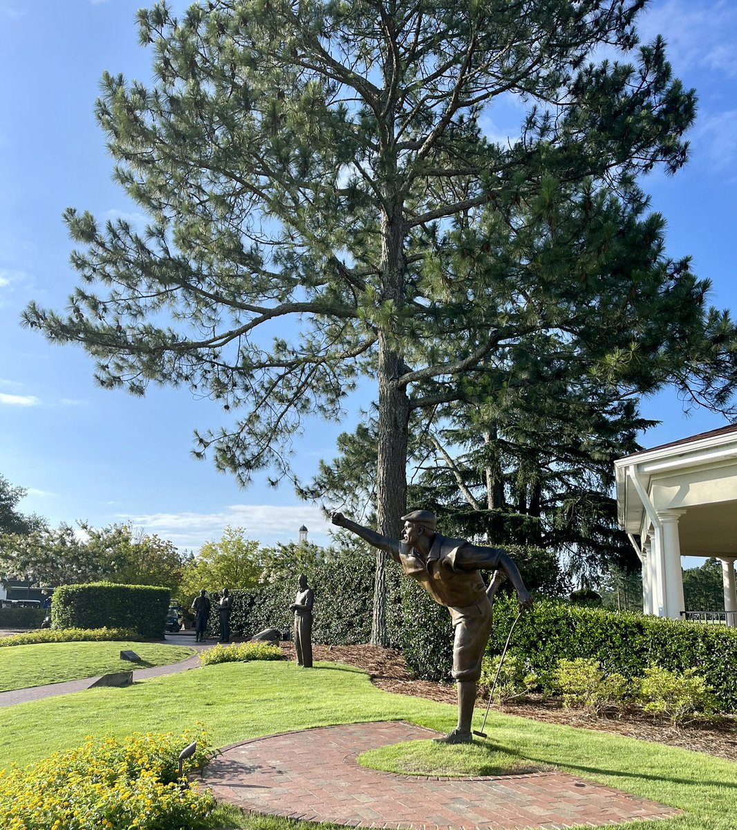 golf_always's tweet photo. Scenes from morning walk in Pinehurst https://t.co/jkyk74IWZ1