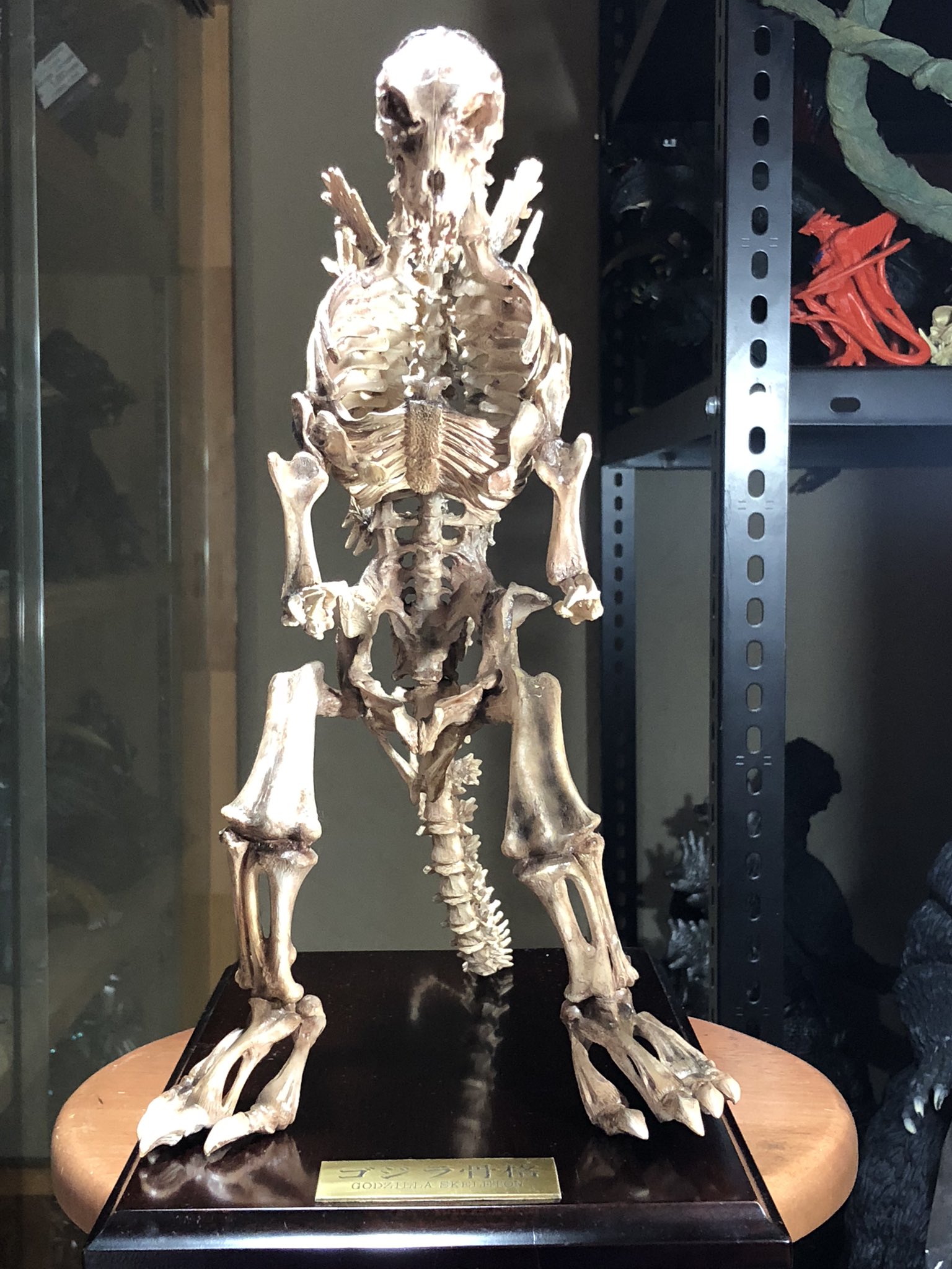 ゴジラ骨格 KWF2019 - Godzilla Skeleton Model by Takeya Takayuki 竹谷
