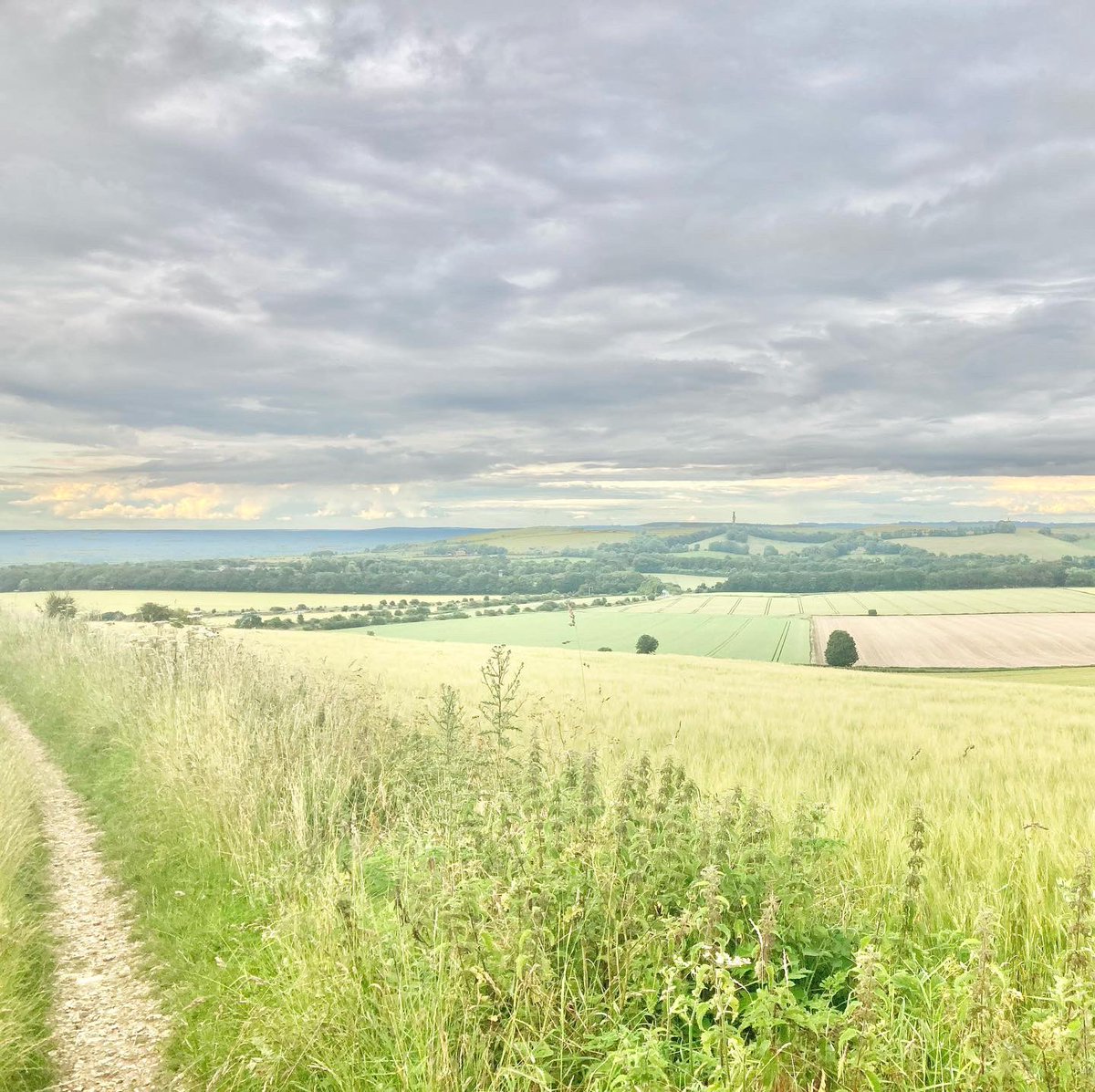 Laura Podger (@laurapodger) on Twitter photo 100km #RacetotheStones <a href="/Threshold_trail/">Threshold Trail Series</a> completed in just over 16 hrs, 5 months postpartum, breastfeeding my daughter every 16km as she refuses to take a bottle🤦🏻‍♀️Raising money for <a href="/KitTarka/">Kit Tarka Foundation</a>. Probably my hardest challenge to date, please donate if you can justgiving.com/fundraising/La… 100km #RacetotheStones <a href="/Threshold_trail/">Threshold Trail Series</a> completed in just over 16 hrs, 5 months postpartum, breastfeeding my daughter every 16km as she refuses to take a bottle🤦🏻‍♀️Raising money for <a href="/KitTarka/">Kit Tarka Foundation</a>. Probably my hardest challenge to date, please donate if you can justgiving.com/fundraising/La…