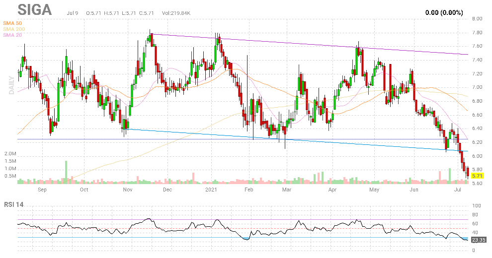 Sarah Katilyn tweet media