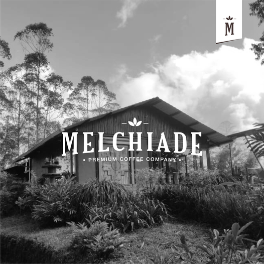 MelchiadeC's tweet photo. ¡MENSAJE DE BIENVENIDA!👋

𝐌𝐞𝐥𝐜𝐡𝐢𝐚𝐝𝐞 𝐂𝐨𝐟𝐟𝐞𝐞 ☕ tiene como propósito promover al mundo el café ecuatoriano🇪🇨 artesanal de exportación.

Visítanos
👉https://t.co/fJgfDP7vDO

#cafeecuatoriano👍🏻☕️🙂 #CafePremium #coffeelovers #coffeeverywhere #cafeecuador #coffee https://t.co/M5q3vR0aLV