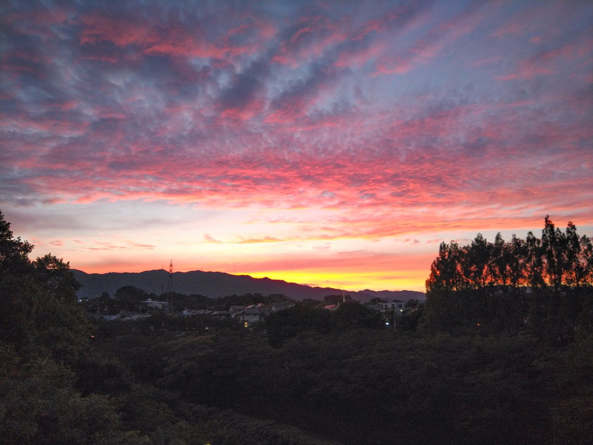 KLE400's tweet photo. 近所の公園、今日は夕焼けが美しかったのです。
#滋賀県 #大津市 #ファインダー越しの私の世界 #夕焼け #夕日 #風景 #公園 #TorqueG04 #スマホ写真 https://t.co/hJzIIYYeI4