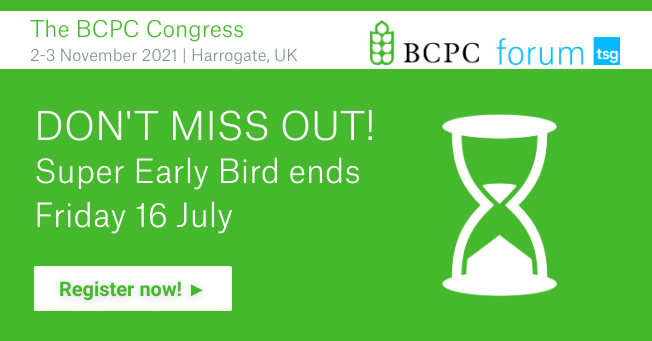 TSG Forum tweet media