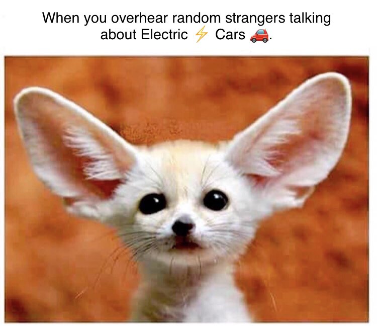 PathosBedlam's tweet image. 