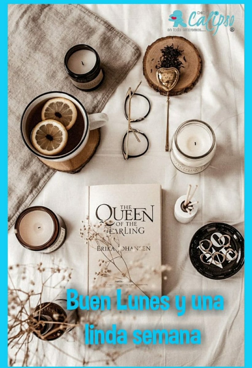 sandra lorena tweet media