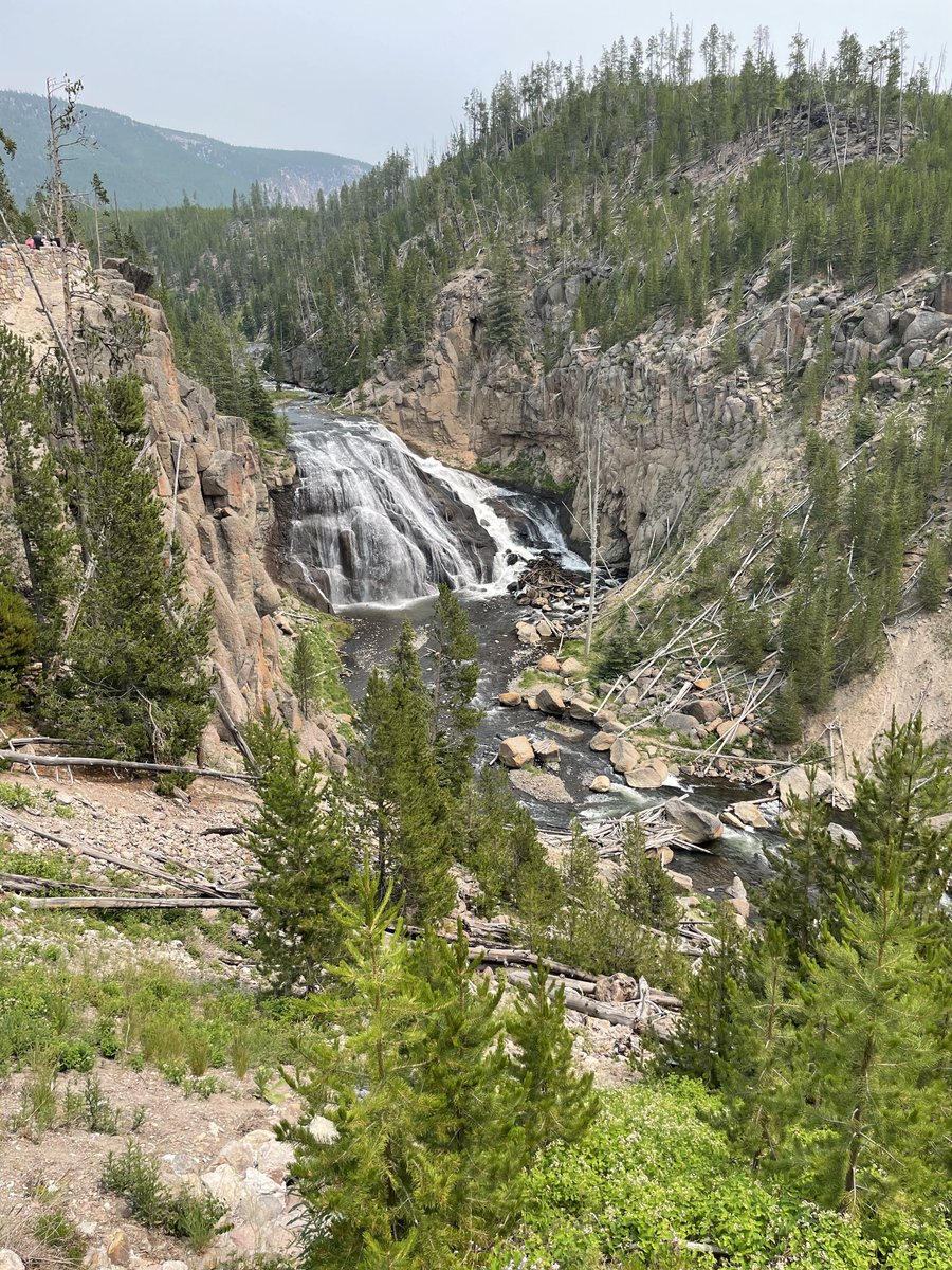 richbachman's tweet photo. Day 3. Yellowstone! Waterfalls, geysers, and thermal pools. https://t.co/DMF5PN3OEF