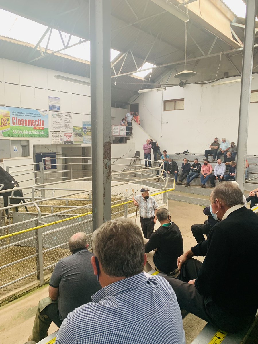 PaudieP's tweet photo. Well the news from @CorkMarts Bandon is all good , the mighty bullock was purchased by @AbpFoods Bandon for €5200 !!with all proceeds going to @CorkARCcancer . Well done all. https://t.co/4KDL8UfbNu