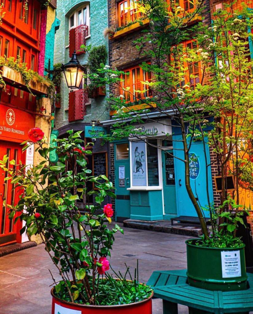 AEnnilBAG21iEbb's tweet photo. neal's yard
من الاماكن الحيوية في #لندن بالقرب من كوفنت جاردن رغم صغر مساحتها منطقة نيلز يارد ويميزها الوان مبانيها المبهجة وفيها مقاهي ومطعم بيتزا لذيذ London https://t.co/3bTEgoEd5d