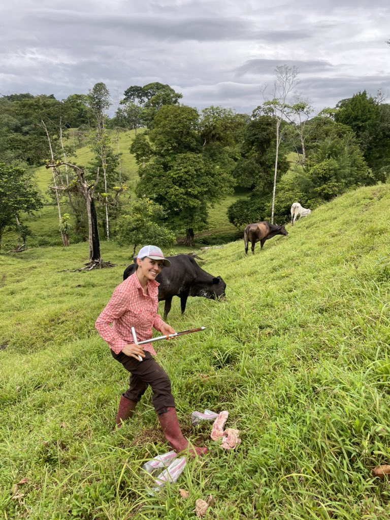 apeyton_smith's tweet photo. The “wildlife” at some of our plots are very eager to help @K_QuinonezG measure soil CO2 and SOM 😆
Kathy is studying #SoilCarbon w. land use change from old growth forests➡️ pastures ➡️ plantations in #CostaRica #FemsInSTEM #Soil #carbon @tamusoilcrop @AgriLife @pp_systems https://t.co/ZFp5ViXdMZ