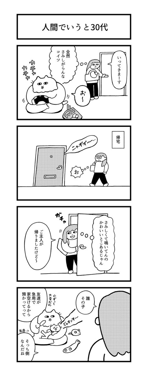 ガタイのいいねこは人間でいうと30代 