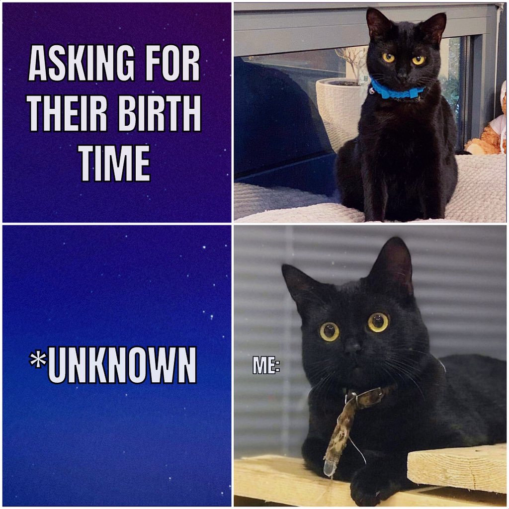 NUiTapp's tweet photo. 😲🙄 “Time to call your mama, Bae!” 😆 https://t.co/IL1CfeUofv