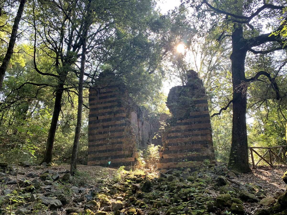 PGI_TV's tweet photo. 🎥🔴ℝ𝕚𝕡𝕣𝕖𝕤𝕖 𝕚𝕟 ℂ𝕠𝕣𝕤𝕠
📍𝗠𝗨𝗥𝗟𝗢
🏘 Un antico borgo delle Terre di Siena dall’aspetto medievale ma dall’anima etrusca.
#raccontiamoilbelpaese #murlo #siena #toscana #etruschi #poggiocivitate #poggioaguzzo #bluetrusco #festival #vescovado #casciano #crevole #museo https://t.co/Vj1AXzo14q