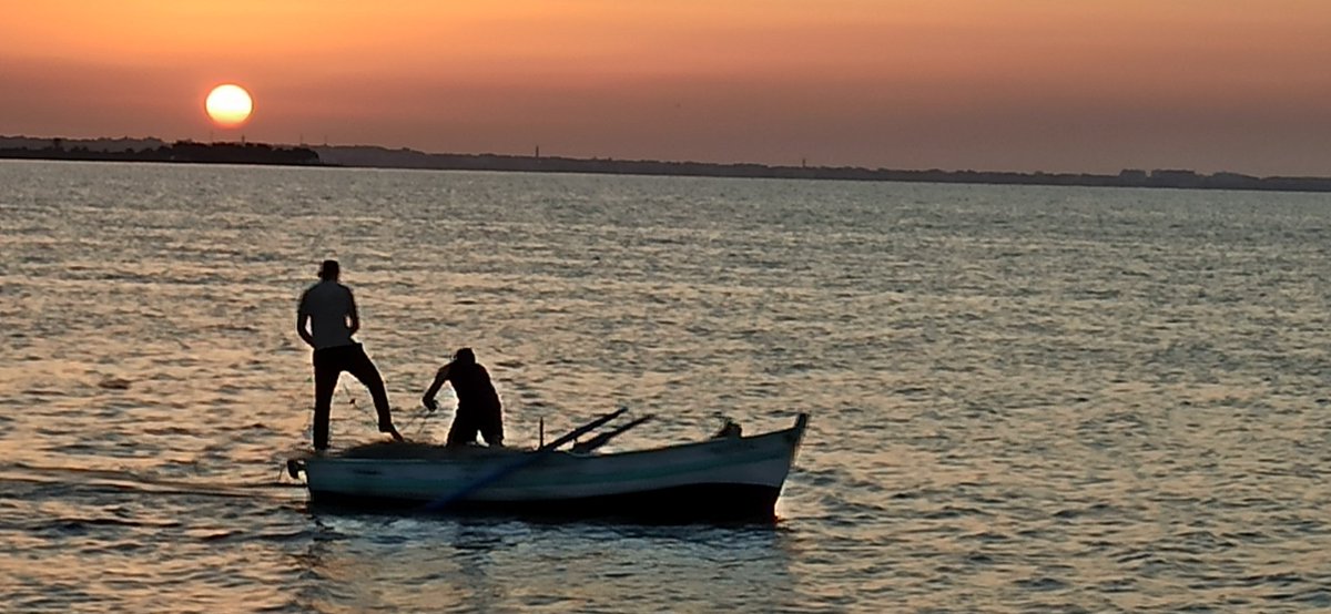 NajehKerkeni's tweet image. 