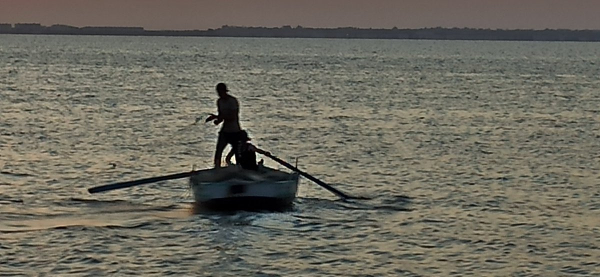 NajehKerkeni's tweet image. 