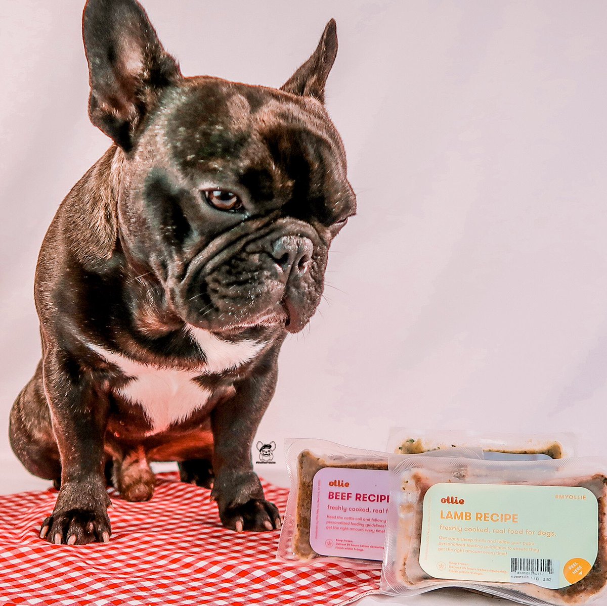 weeweefrenchie's tweet photo. I love fresh food delivered, and @myollie has the best food! 😋
.
There’s a Friends and Family Sale from 7/12-7/19/21. Get 50% off first box of meals, then receive 25% off the next two orders❤️
.
More info at https://t.co/0hdvSgonnR or visit https://t.co/DSshx6gwMP ❤️
.
#ad https://t.co/1hzF5Gk6pl