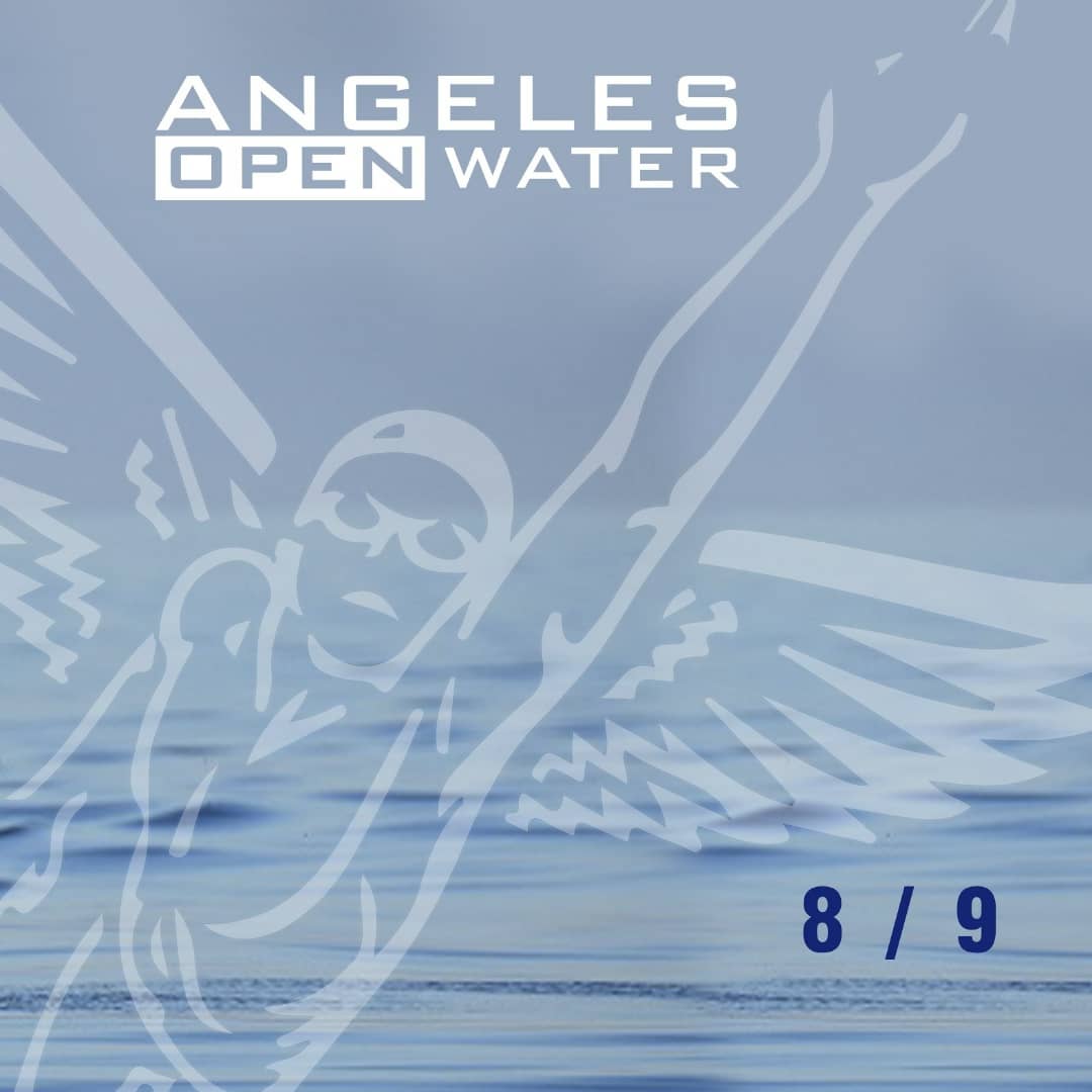 AngelsOpenWater's tweet photo. Campeones @ReporteYa en #AguasAbiertas #LeonardoValle #IsoldePetijean #JavierGomez y Atletas #SimonGomez #RaquelHernandez #NelsonSayegh @juanpalacios76 #MariaSilva y @andresraulpaezp que participaron 3k #Mochima org por @fundacion_MAR y @antonionatacion - @ZagaDeporte @MarcaClaro https://t.co/scxtfqz3LT