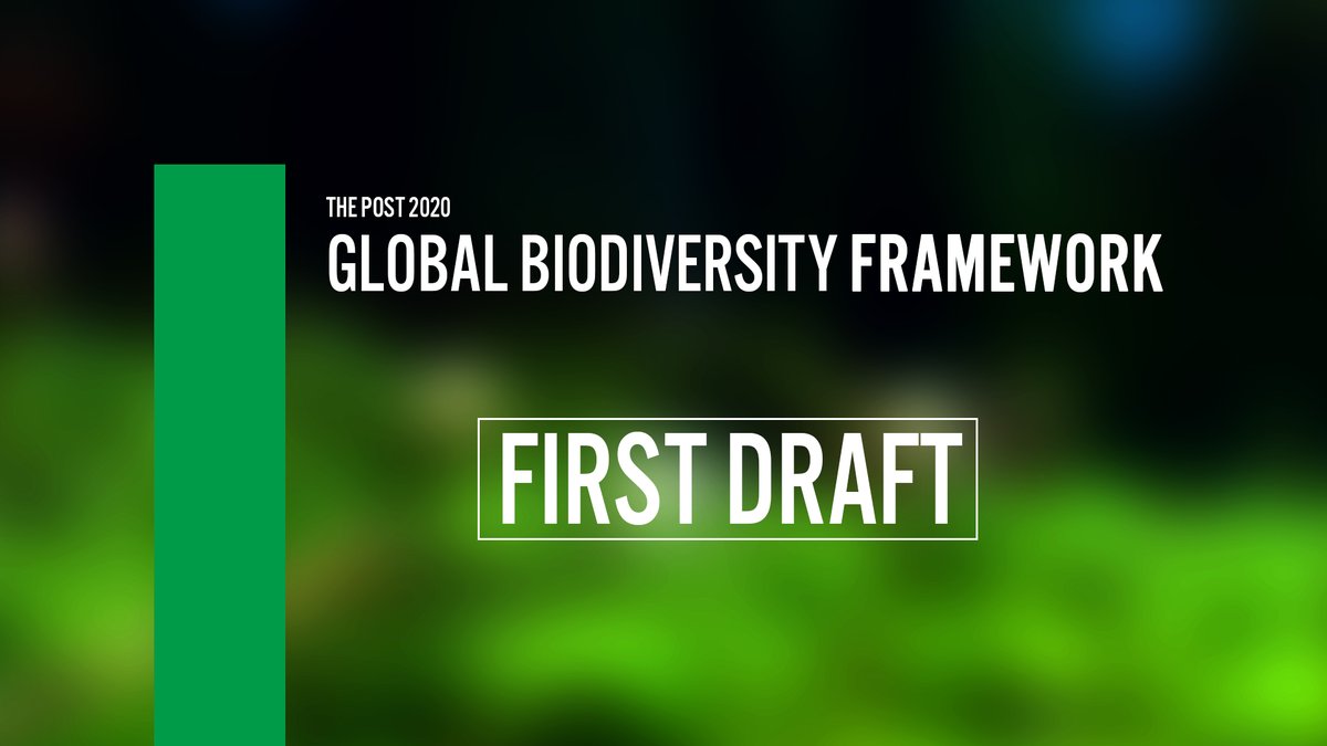 🚨 #BREAKING: Draft 1 of the #post2020 global #biodiversity framework is out now To be considered at @UNBiodiversity #COP15, this first detailed draft outlines achievable goals & targets needed to heal our broken relationship with nature. ➡️ cbd.int/post2020 #ForNature