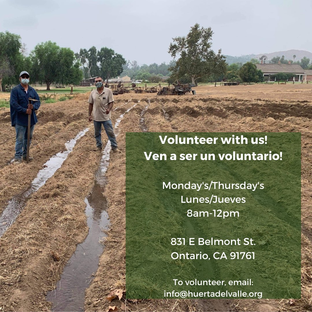 Come and volunteer with us at our Ontario Garden Site (831 E Belmont St.
Ontario, CA 91761)! We need volunteers to help harvesting, cleaning and other general work on Monday's and Thursday's from 8am-12pm. To volunteer, please email: info@huertadelvalle.org