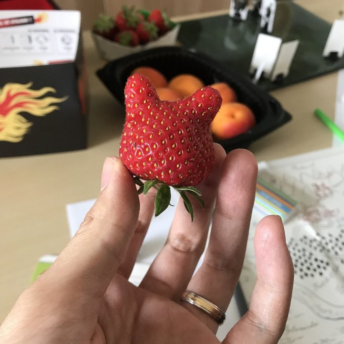 On dirait un lapin avec une colerette 🐰 https://t.co/JmnTWGEnnU<a href="/tag/diy"class="tags"><span>&#35;diy</span></a><a href="/tag/embroidery"class="tags"><span>&#35;embroidery</span></a><a href="/tag/broderie"class="tags"><span>&#35;broderie</span></a>