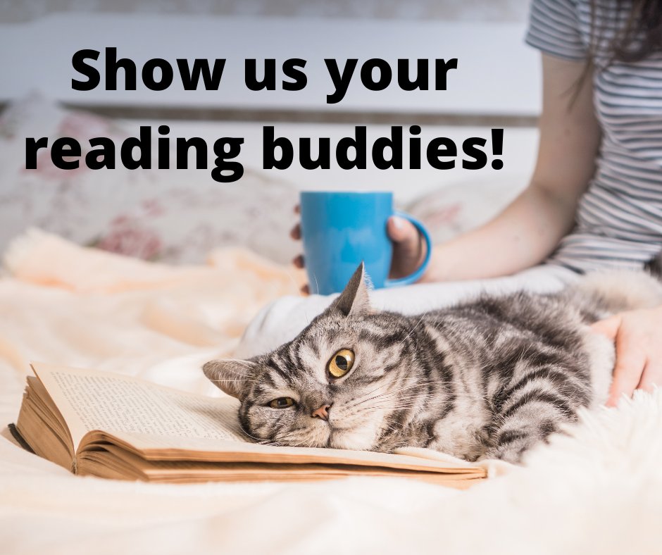 ClayLibrary's tweet photo. It's pet week! Share a photo of your pet! #Pets #ClayCoLibrary https://t.co/BLRR5PrlHe