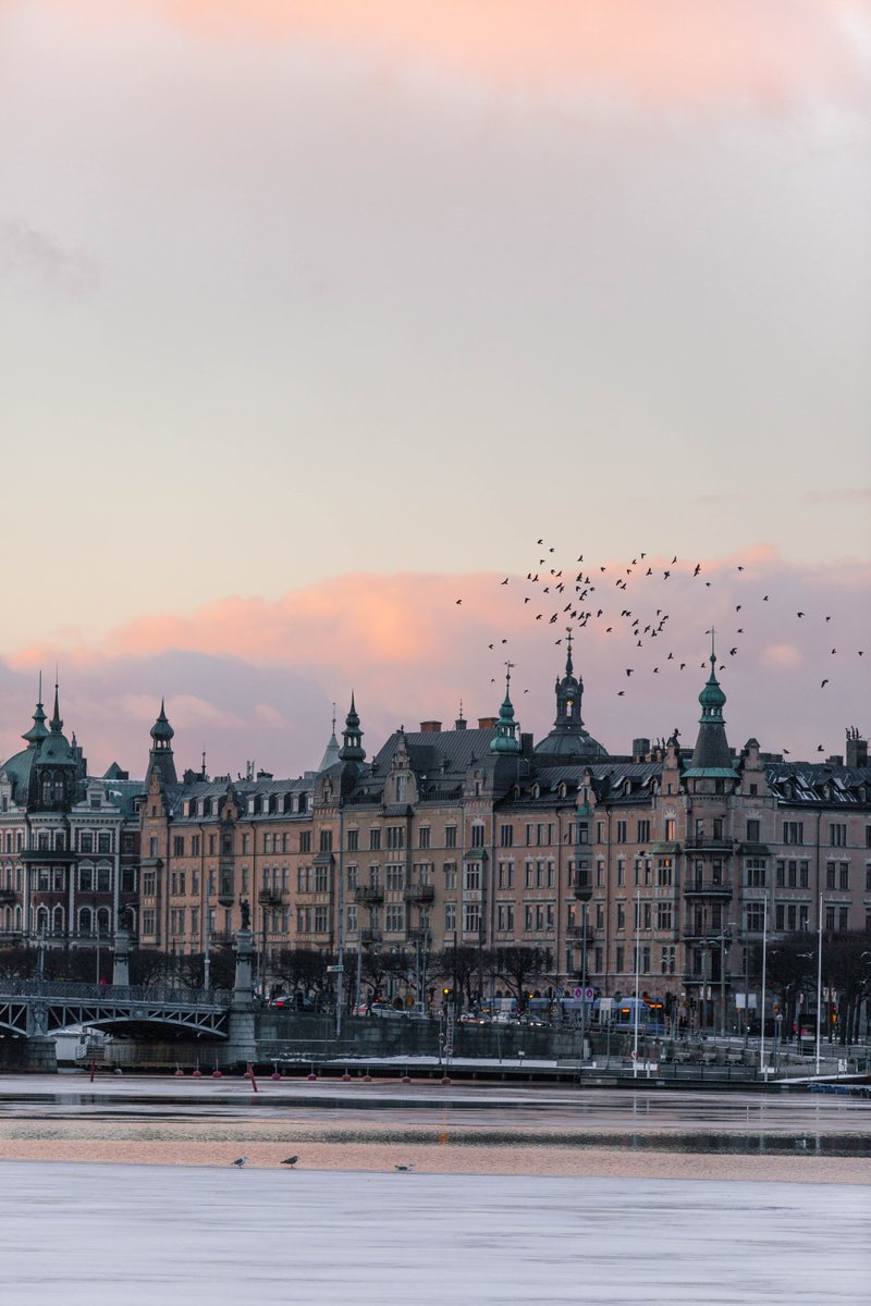 CountryBranding's tweet photo. #CountryBranding
With #DigitalDiplomacy growing massively in prominence post-#Covid19, #Sweden is aiming to become a global pioneer.
#DigitalCountries #DigitalCities
https://t.co/D4NwY95XbZ https://t.co/O8DclXqo6v