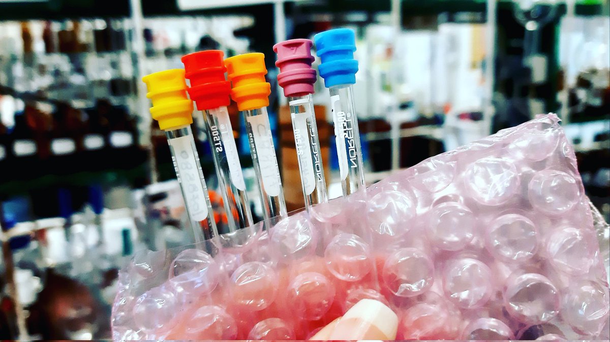 CarinaCrucho's tweet photo. These Norell NMR tube caps not only provide superior sealing capability but also are so #kawaii. 👩🏻‍🔬 Lemon yellow, red poppy, orange tangerine, pink sorbet, blue harbor and seven more colors. #stem #WomeninScience #womeninstem #norell #nmrtubes #norloc #NMR https://t.co/FAEyZuQCMu