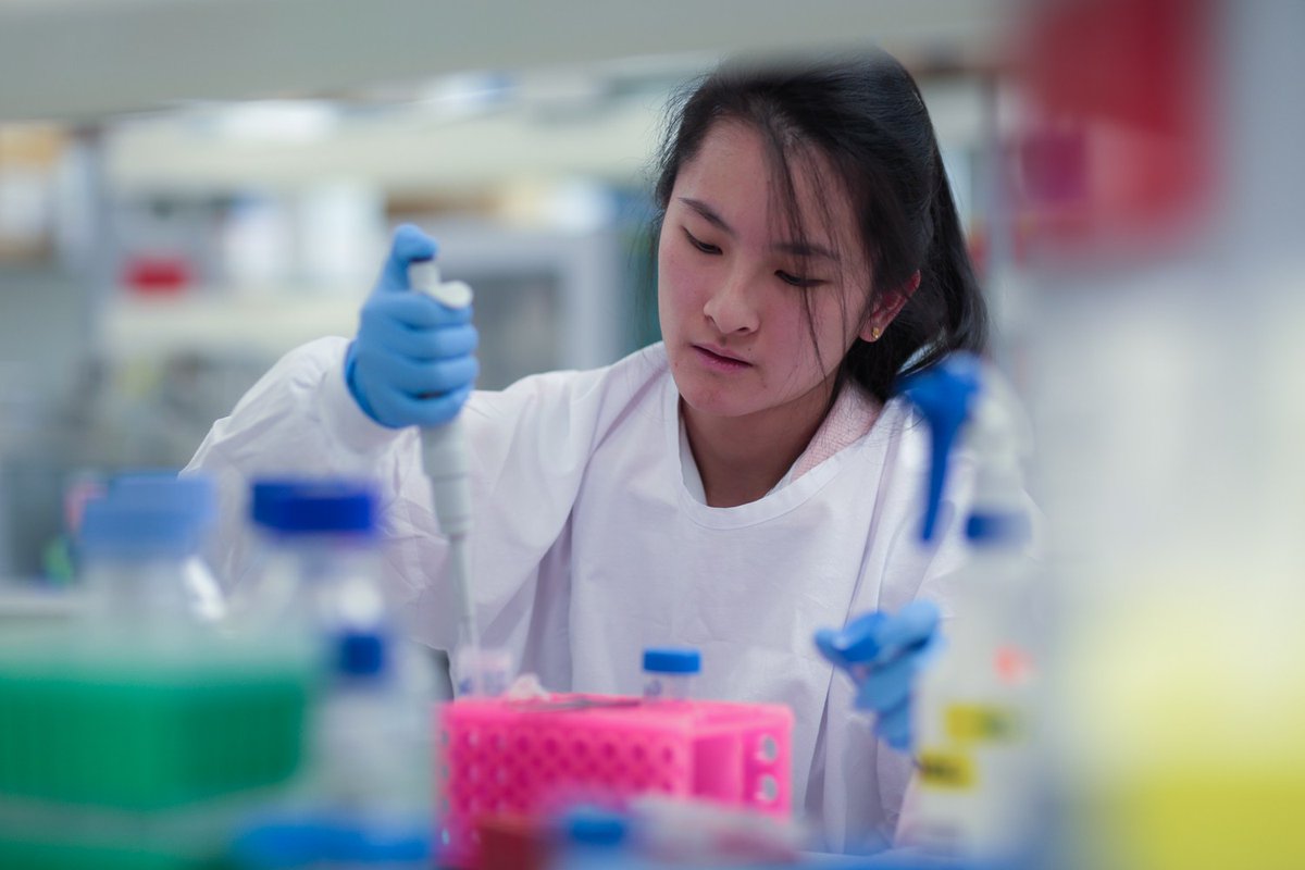 Women in STEMM Aust tweet media