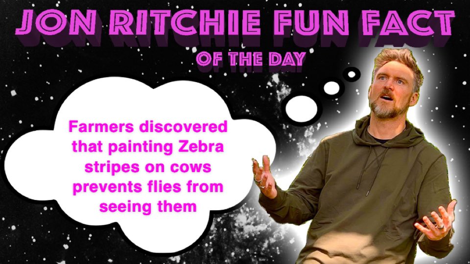JonRitchieFacts's tweet photo. 🦓?🐄 https://t.co/YNJq28BR5G