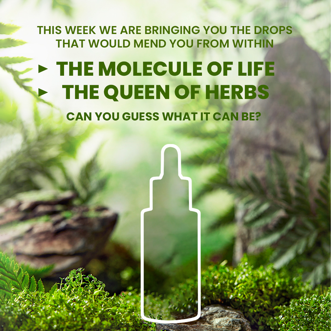 Riseoocom's tweet photo. Tell us your guesses! What’s coming next?

#newlaunch #newproduct #herbs #healthylifestyle #lifestyleupgrade #riseooaffiliatepartners #riseoo #newarrivals #comingsoon #healthyrecipes #healthconscious #makeadifference #fitness #immunityboost #guess https://t.co/luuNww2Ubz