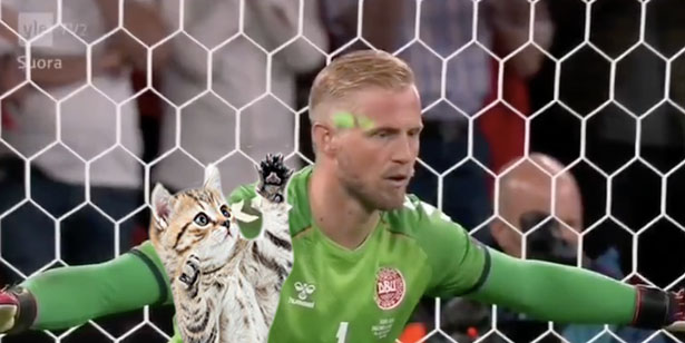 HellSusaan's tweet photo. I made myself a new background for my pc. 
What do you guys think?
KEK

#EURO2020 #KasperSchmeichel #CatLaser https://t.co/iyoo5jBIzk