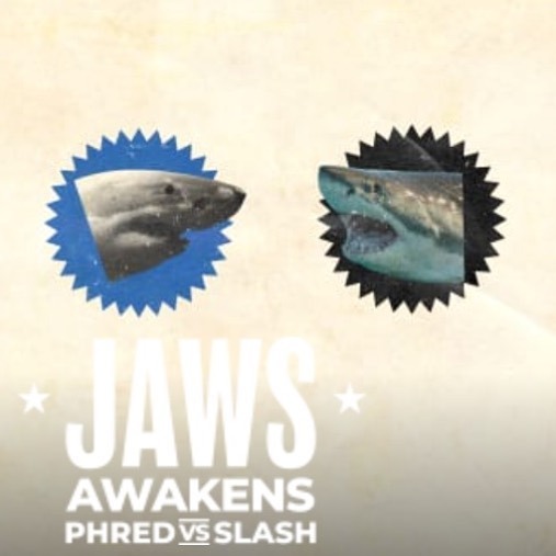 Shark Diving Xperts tweet media