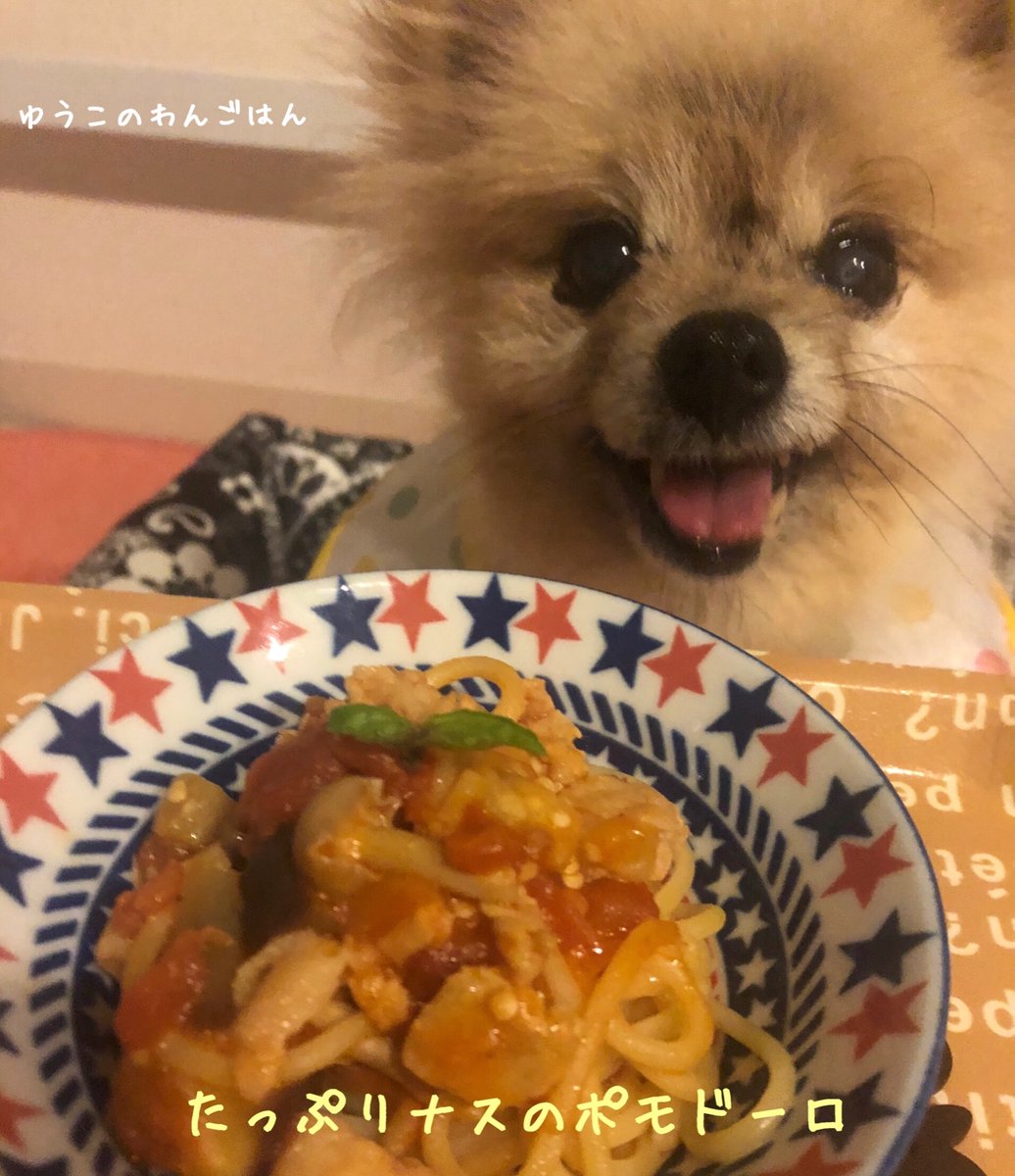 犬ごはんレシピ