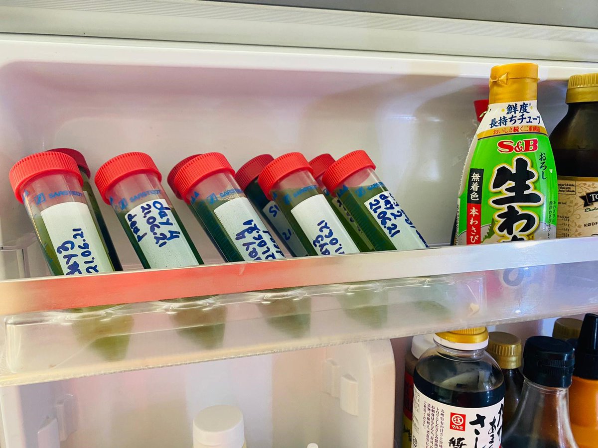 Great dedication by Björn Ronge! Making sure that our chlorella is regularly tested and perfect for our customers. Hopefully there won't be any early morning mix ups when reaching in the fridge 😆 Visit ptaqua.eu or comment below for product info. #fisheries