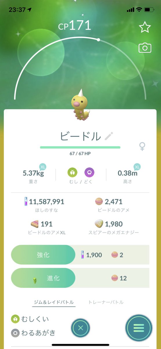 ポケモンgo コクーンの色違い 入手方法と実装状況 攻略大百科 ポケモンgo コクーンの色違い 入手方法と実装状況 攻略大百科