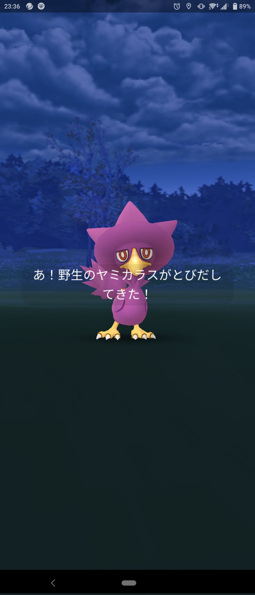 Coffee Atog コーヒーエイトグ ポケモンgo でヤミカラスの色違い出たー 初ゲットだよやったぜ T Co Hcs3syuaqa Twitter
