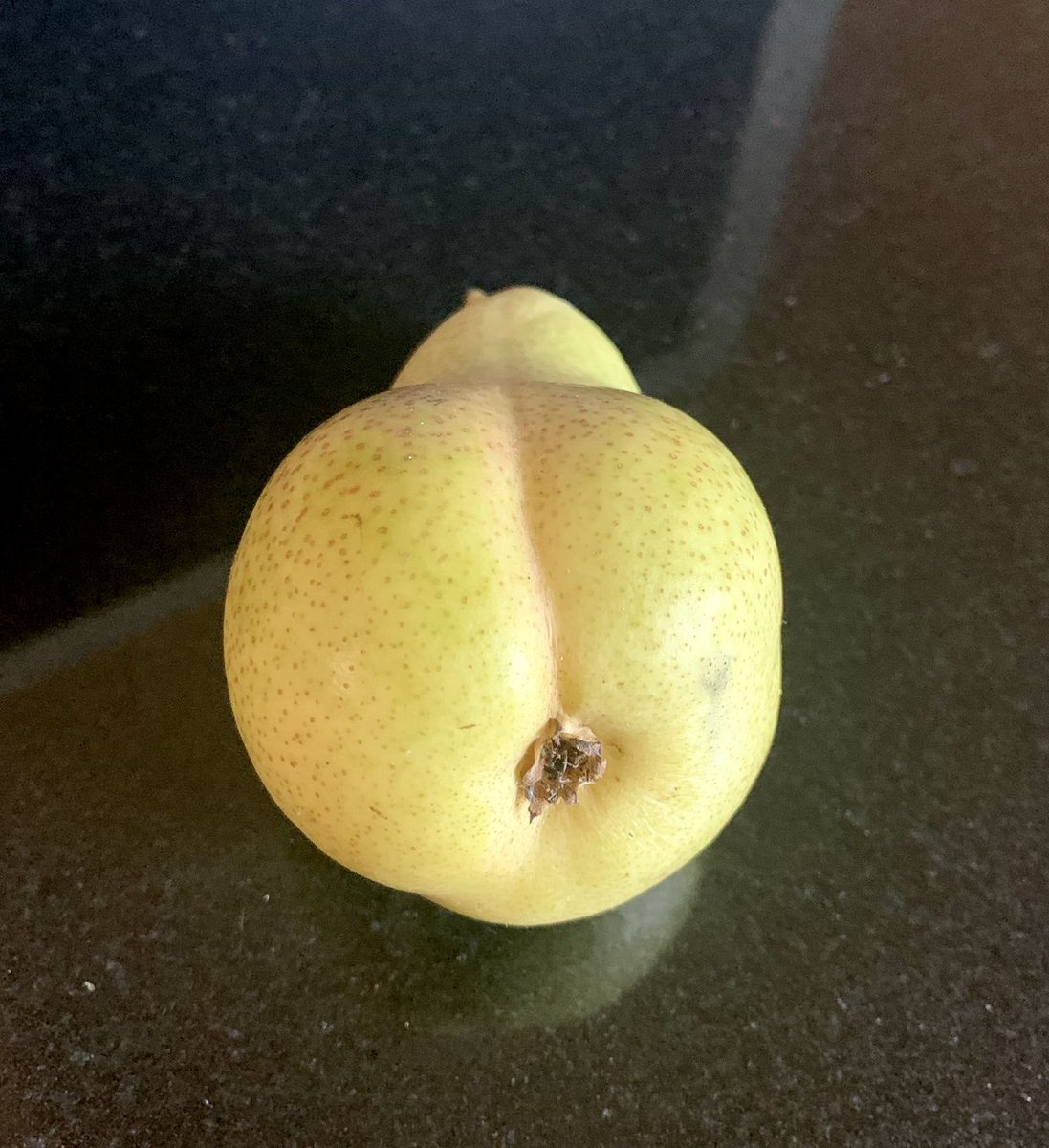 Honestly I didn’t know where to look ! 

This pack of pears had a few interesting ones ! 
 
🍐 Hello Cheeky 🍐

#rudefruit #organicfood #rudefood #eatrealfood