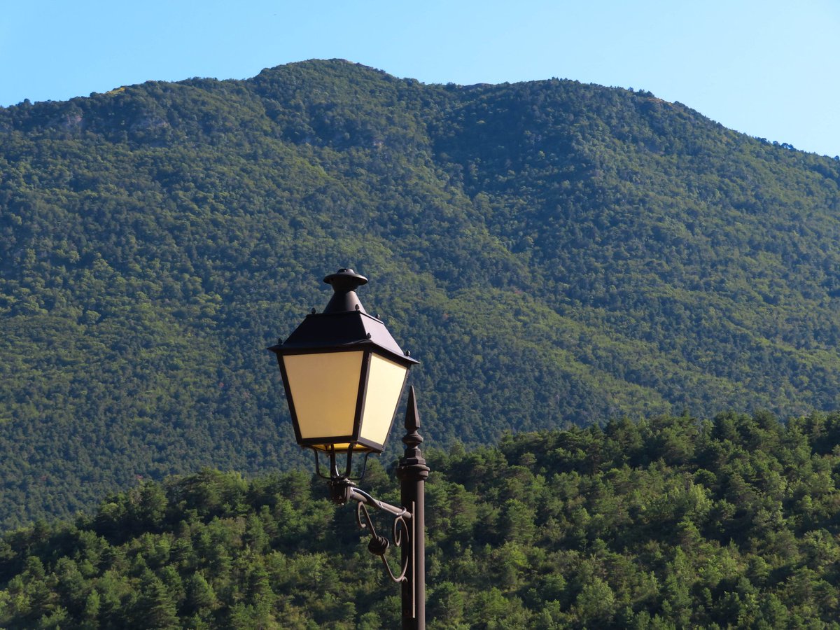 Binacuaa's tweet photo. Cuculo, impresionante y hermoso ⛰️💡🤩
#cuculo #binacuaenamora #binacua2021 #binacua #monte #naturaleza #arboles #farola #nature #lamp #jacetania #aragón #huesca #españa https://t.co/MrhbwUkDQI