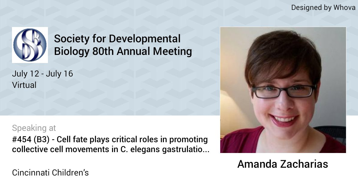 AmandaZachariasLab🔬〰️ tweet media