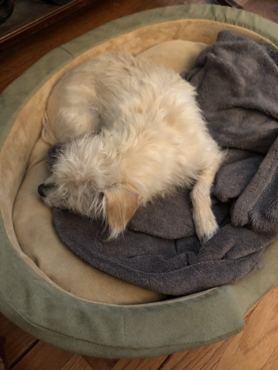 Best part of coming home from vacation…