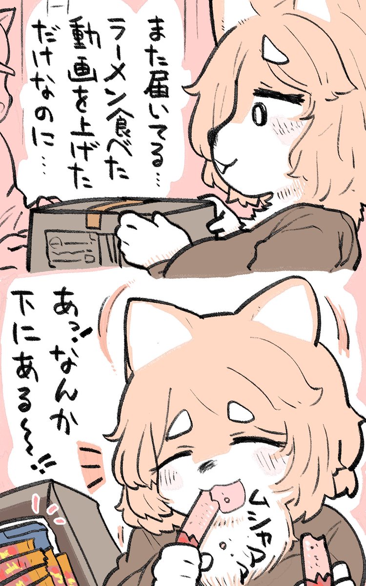 にくしばちゃん/ギョニ🐟🐕 