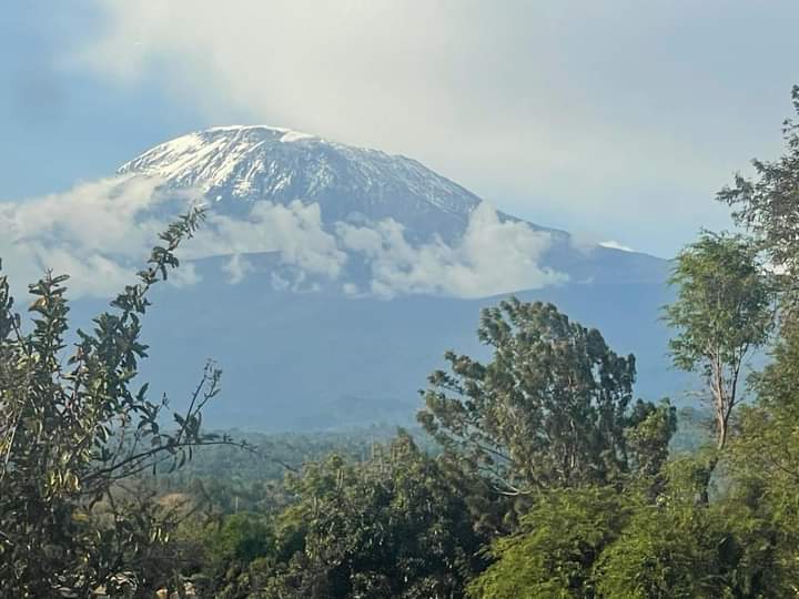 #Manyara, #Ngorongoro, #Serengeti, #Tarangire in 🇹🇿 🇹🇿 🔥

-Tarangire National Park

- Serengeti National Park

- Ngorongoro crater

- Lake Manyara, 

- Everything in #Arusha and #Kilimanjaro 🔥🔥🔥🔥🔥

#RemarkableTanzania 
#MagicalTanzania 
#VisitTanzania 🗻 🗻 🗻 🗻 🗻