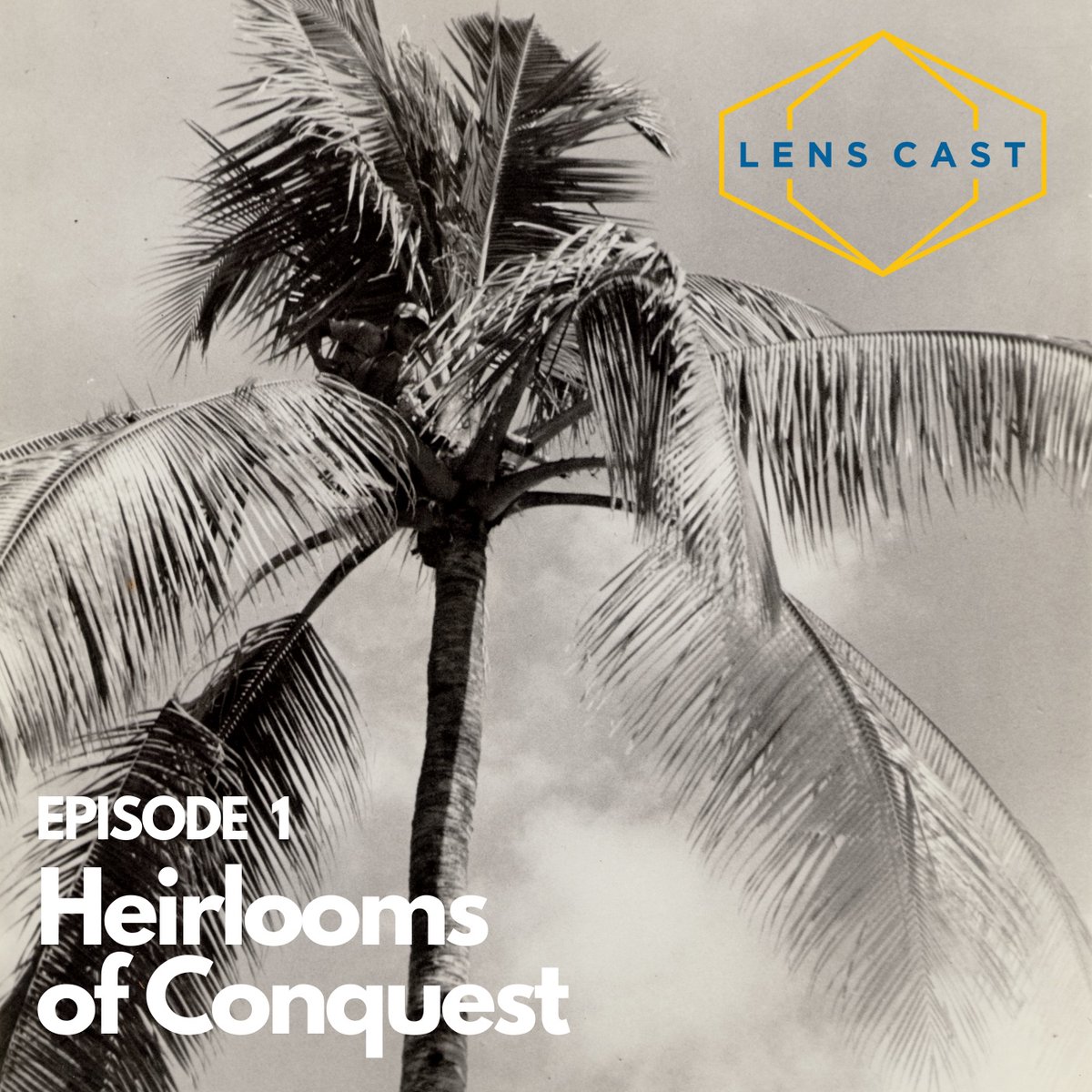 LENSatUCLA's tweet photo. LENS is excited to announce our new podcast! LENS.cast shares stories of environmental justice and imagination in California and beyond. In Episode 1, we explore how the trees of Los Angeles record the city's colonial past and point to better futures.  

https://t.co/PaXEf2WVTW https://t.co/iESfK7UKlG