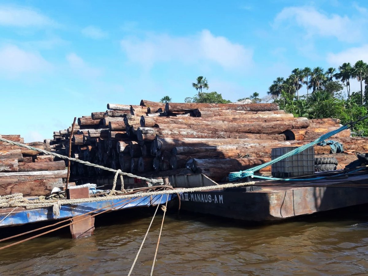 TimberRiskMap's tweet image. 110 m3 of alleged illegal wood seized in Ponta Negra, Pará bit.ly/3hz44X7